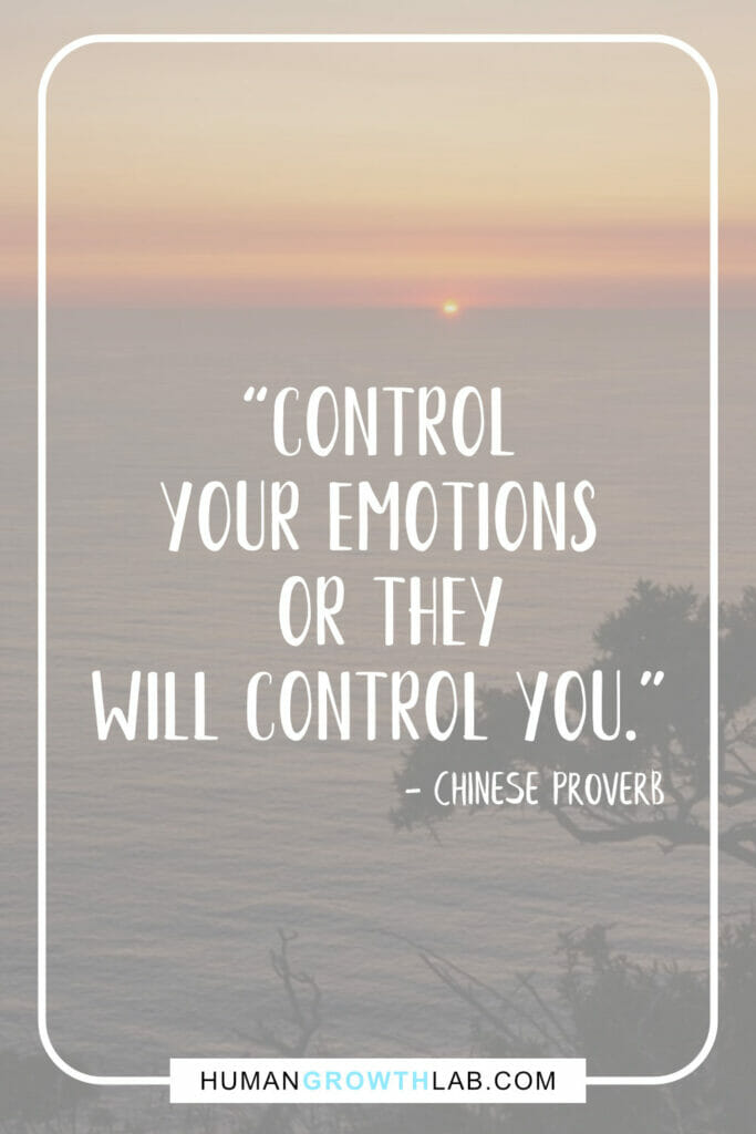 Chinese saying on success - “Control your emotions or they will control you.”